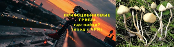 apvp Алексеевка
