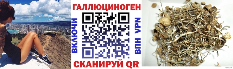 сколько стоит  Сургут  маркетплейс наркотические препараты  Псилоцибиновые грибы ЛСД 